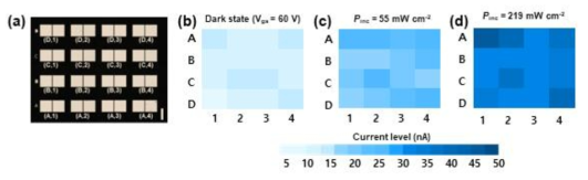 레이저 파워에 따른 4×4 MoSe2 광소자의 전류 이미지 맵핑
