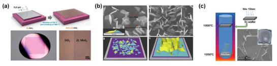 다양한 방법으로 대면적 또는 대량 전이금속 칼코겐 화합물 합성. (a) 스퍼터링 박막 증착 방법 (Nanoscale 2014, 6, 2821). (b) 수직성장 방법 (Nanotechnology 2017, 28, 295301). (c) 다결정 MoSe2 증착 (Advanced Materials 2016, 28, 2316)