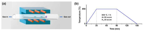 (a) CVD 방법으로 벌크 MoSe2를 합성하는 모식도. (b) 합성의 시간, 온도 및 가스 유량을 나타나는 그래프
