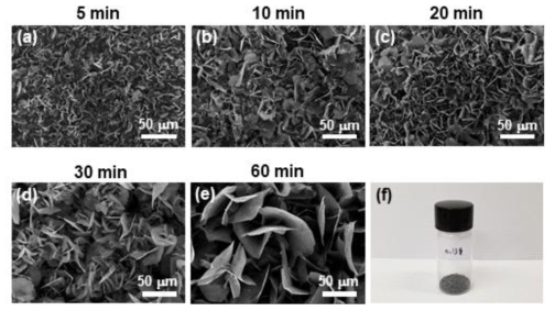 (a-e) 합성 시간이 5, 10, 20, 30 및 60 분의 벌크 MoSe2의 SEM 이미지. (f) 합성한 후의 벌크 MoSe2 사진