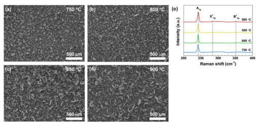 (a-d) 합성 온도가 750, 800, 850 및 900 °C에서 60 분 합성한 MoSe2의 SEM 이미지와 (e) 라만 그래프