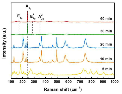 합성 시간이 5, 10, 20, 30 및 60 분의 벌크 MoSe2의 라만 스팩트럼