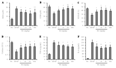 kushenol C의 MDA, GSH, SOD, catalase, TNF-α, IL-6에 미치는 효능