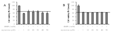 HepG2(A)와 HaCaT(B) 세포에서 고욤나무잎유래 플라보노이드 myricitrin의 세포보호효과