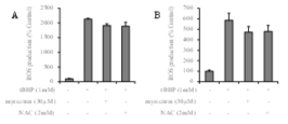 HepG2(A)와 HaCaT(B) 세포에서 플라보노이드 myricitrin의 ROS 소거 효능