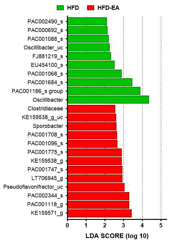 고지방 식이로 유도된 비만쥐에서 침 치료 후 분변 내 마이크로바이오타 구성에 대한 LefSe 분석. HFD, 비만 식이 섭취군; HFD-EA, 비만 식이+전침 처리군