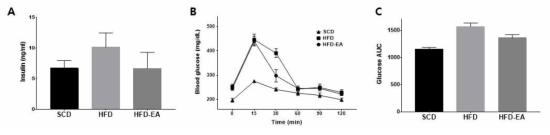 고지방식이로 유도된 비만쥐에서 공복 혈청 인슐린(A) 및 내당능장애에 대한 족삼리(ST36) 침자극의 효과. B, Glucose tolerance test; C, Changes in glucose area under the curve (AUC)