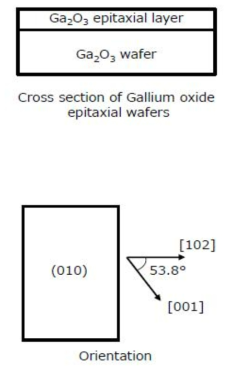 MBE법에 의해 성장된 Ga2O3 에피웨이퍼의 단면도