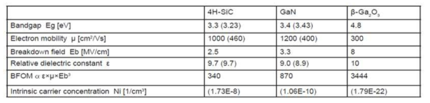 Wide Band Gap 반도체 재료의 물성 특성
