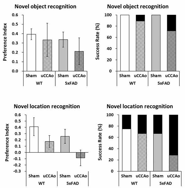 Novel object/location recognition test