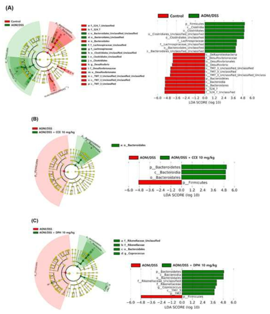 Taxonomic differences of fecal microbiota among groups