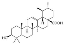 Ursolic acid 의 구조