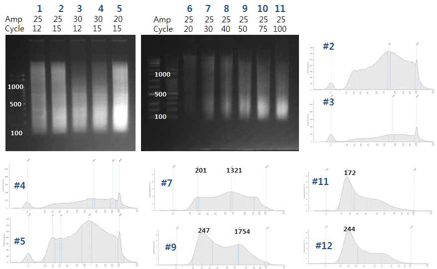 다양한 DNA fragmentation 조건 test