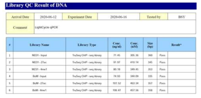 의뢰 샘플에 대한 library QC 결과