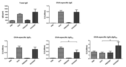 혈청 내 Total IgE, OVA-specific IgE, OVA-specific IgG1, IgG2a