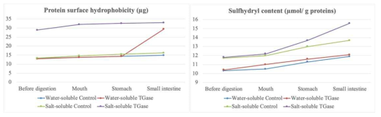 Protein surface hydrophobicity and sulfhydryl content of model sausages induced by transglutaminase during in vitro digestion