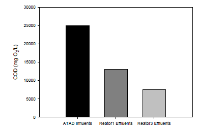 ATAD 유입수, ATAD 유출수(reactor 1), ATAD & 질소제거조(reactor 3) 유출수의 COD