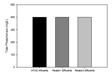 ATAD 유입수, ATAD 유출수(reactor 1), ATAD & 질소제거조(reactor 3) 유출수의 T-P