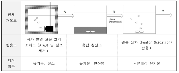 2차년도 연구 개요도 및 반응조별 제거항목