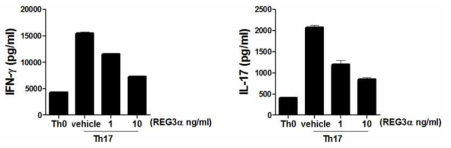 REG3α가 T 세포에 미치는 영향 조사