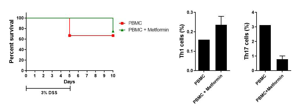 Metformin 주입을 통한 개선 효과 조사