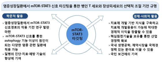 연구결과의 활용방안