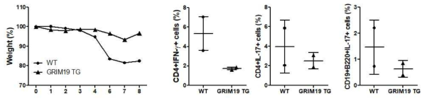 GRIM19이 과발현된 동물에서 질환 개선 효과 조사