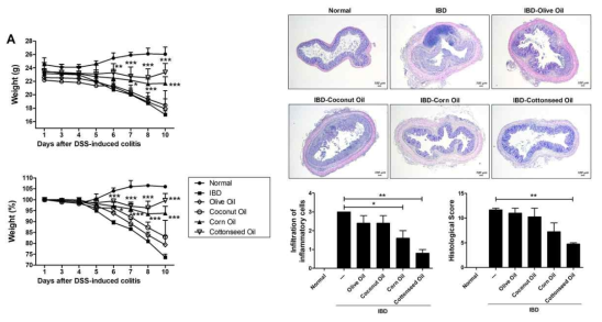 면실유를 통한 DSS-induced colitis 완화