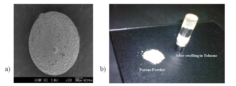 SEM photograph of the dried crosslinked polymer particles of 620 ㎛ (a) synthesized from the mole ratio of DOPAM to styrene monomer of 2 to 8 by a suspension polymerization method, and the appearance of the polymer particles before and after swelling in benzene solvent (b)