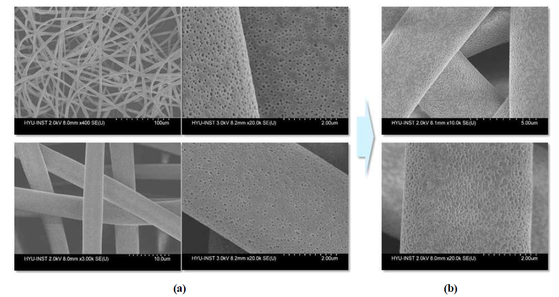 SEM images before (a) and after (b) photocrosslinking the PolyDOPAM-4 electrospun fibers