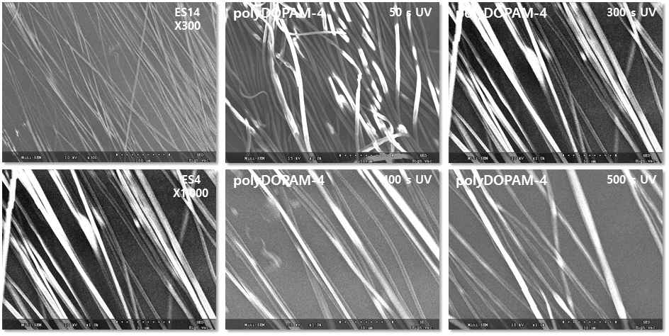 SEM images of the photocrosslinkable fibers-ES14 and the electrospun microfibers (3-4 μm) crosslinked by the irradiation time (50 s, 300 s, 400 s, 500 s) of UV in the presence of crosslinker HDDA and photoinitiator B-PPO