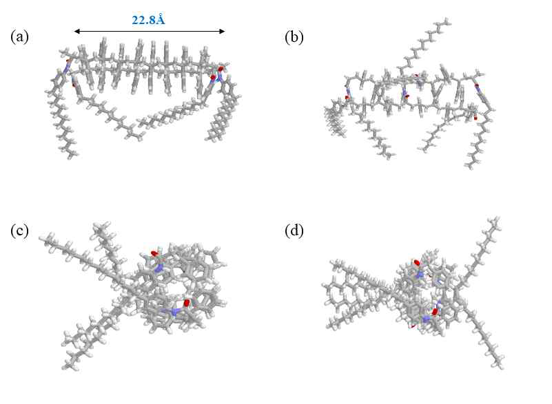 Optimized structures of the crosslinked copolymers with different DOPAM composition using a Cerius program: side and top views for the copolymers with DOPAM/Styrene=2/8 (a & c) and DOPAM/Styrene=3/7 (b & d)