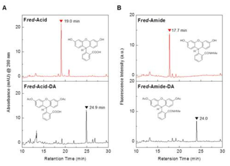 HPLC chromatograms of A) Fred -Acid-DA and its deacetylated product, B) Fred -Amide-DA and its deacetylated product. [Probe] = 50 mM in 1X PBS