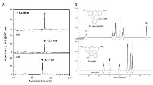 The characterization of the oxidation product of Fred -Amide. A) HPLC chromatograms of Fred -Amide (SM), in situ oxidation mixture of Fred -Amide (RM), and F-Lactam. B) Partial 1HNMRspectra(300MHz,DMSO-d6)ofFred -Amide-DA and F-Lactam