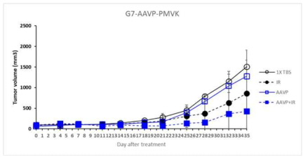 NCI-H69 xenograft tumor model 종양성장억제곡선