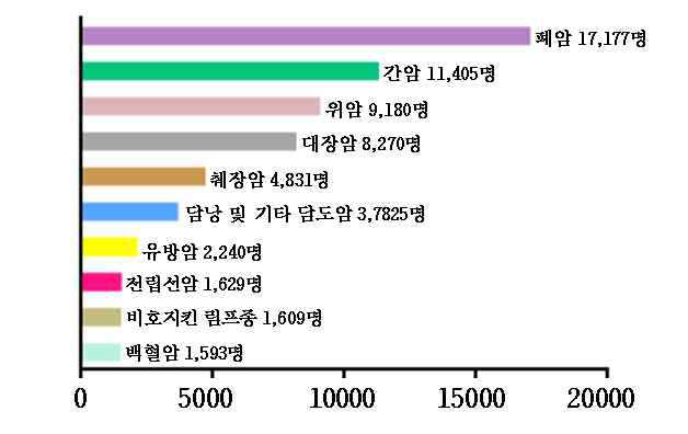 2013년도 암으로 인한 사망자 수