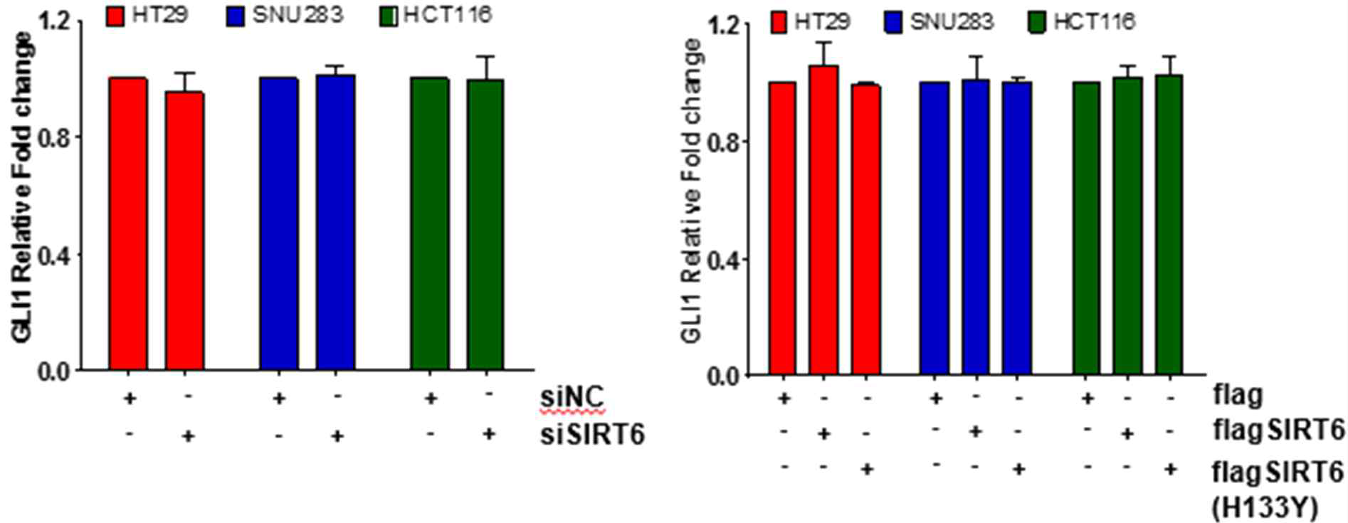 SIRT6에 의한 GLI1 mRNA 조절