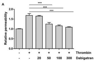 다비가트란 농도에 따른 혈관내피세포 투과도