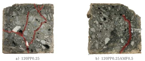 120PP0.25과 120PP0.25AMF0.5 시험체의 단면과 균열패턴