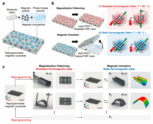 재프로그래밍 가능한 자성복합소재의 구성 및 구동 메커니즘 (위), 재프로그래밍 과정을 통해 매우 다양한 형상으로 변화할 수 있는 자성복합소재 기반 오리가미 구동 및 시뮬레이션 (아래)