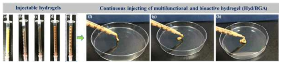 Digital images of photocrosslinked injectable hydrogels in different syringes: (a) Hyd/BG, (b) Hyd/BGT, (c) Hyd/BGO, (d) Hyd/BGM, and (e) Hyd/BGA, respectively. (From f to h) Digital images of the continuous injectability of Hyd/BGA hydrogel