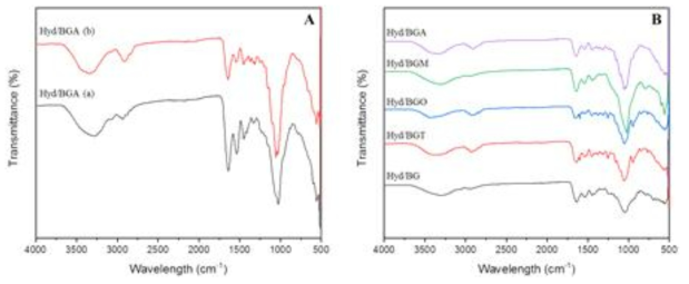 (A) FTIR spectra of Hyd/BGA injectable hydrogels before (a) and after (b) photopolymerization. FTIR spectra of photocrosslinked injectable hydrogels: as Hyd/BG, Hyd/BGT, Hyd/BGO, Hyd/BGM, and Hyd/BGA hydrogels, respectively