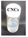 Digital image of as-prepared aqueous suspension of CNCs