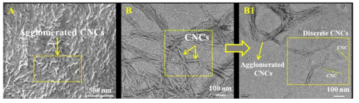 FTIR spectra of the as-prepared CNCs using acid (H2SO4) hydrolysis and modified-CNCs (CNCs-0.3, CNCs-0.6, and CNCs-0.9,) using periodate, where 0.3, 0.6 and 0.9 referring to NaIO4/CNCs