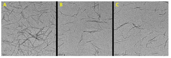 TEM images of the as-prepared CNCs-CHO using periodate (A) 0.3, (B) 0.6, and (C) 0.9, where 0.3, 0.6 and 0.9 referring to NaIO4/CNCs (scale bar = 100 nm)