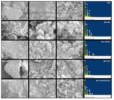 FESEM and corresponding EDX spectra of the as-prepared BG, BG-BT, BG-MNPs, BT-GO and BG-BTMNPGO samples