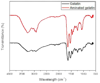 FTIR spectra of the pure Gel and as-prepared aminated-Gel (Gel-NH2)