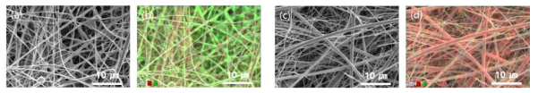 A scanning election micrographs of the separator samples and the corresponding elemental map of S (green) and Si (red): (a, b) the open circuit voltage (OCV), (c, d) 1.80 V, a sample rinsed with ethanol