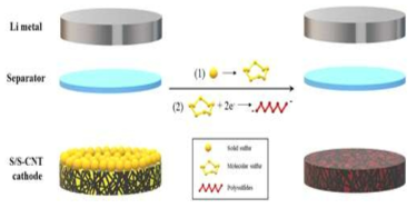 Schematic diagram of the electrochemical reaction of the two-layer S/S-CNT cathode during the first discharge of Li–S cells