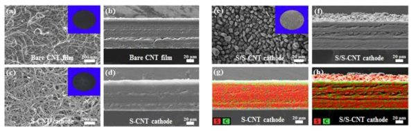 Surface and cross-sectional SEM images of pristine CNT film (a, b), S-CNT (c, d), and S/S-CNT electrodes (e, f). Corresponding elemental maps of sulfur (red) and carbon (green) for the S-CNT (g) and S/S-CNT (h) samples